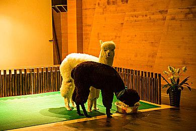 CDPR：《巫师3》只有10%的玩家选择了最高难度